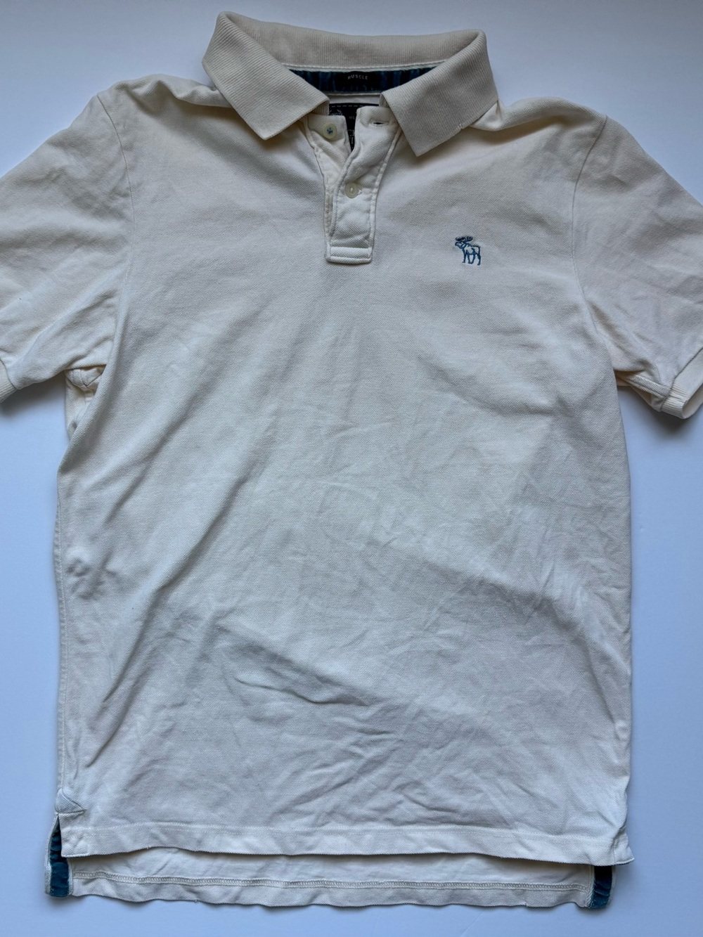 Vintage Y2K Mall Fashion Retro 2000s Preppy Iconic Polo Embroidered Logo
